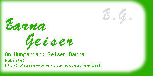 barna geiser business card
